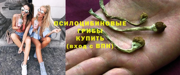 эйфоретик Волоколамск